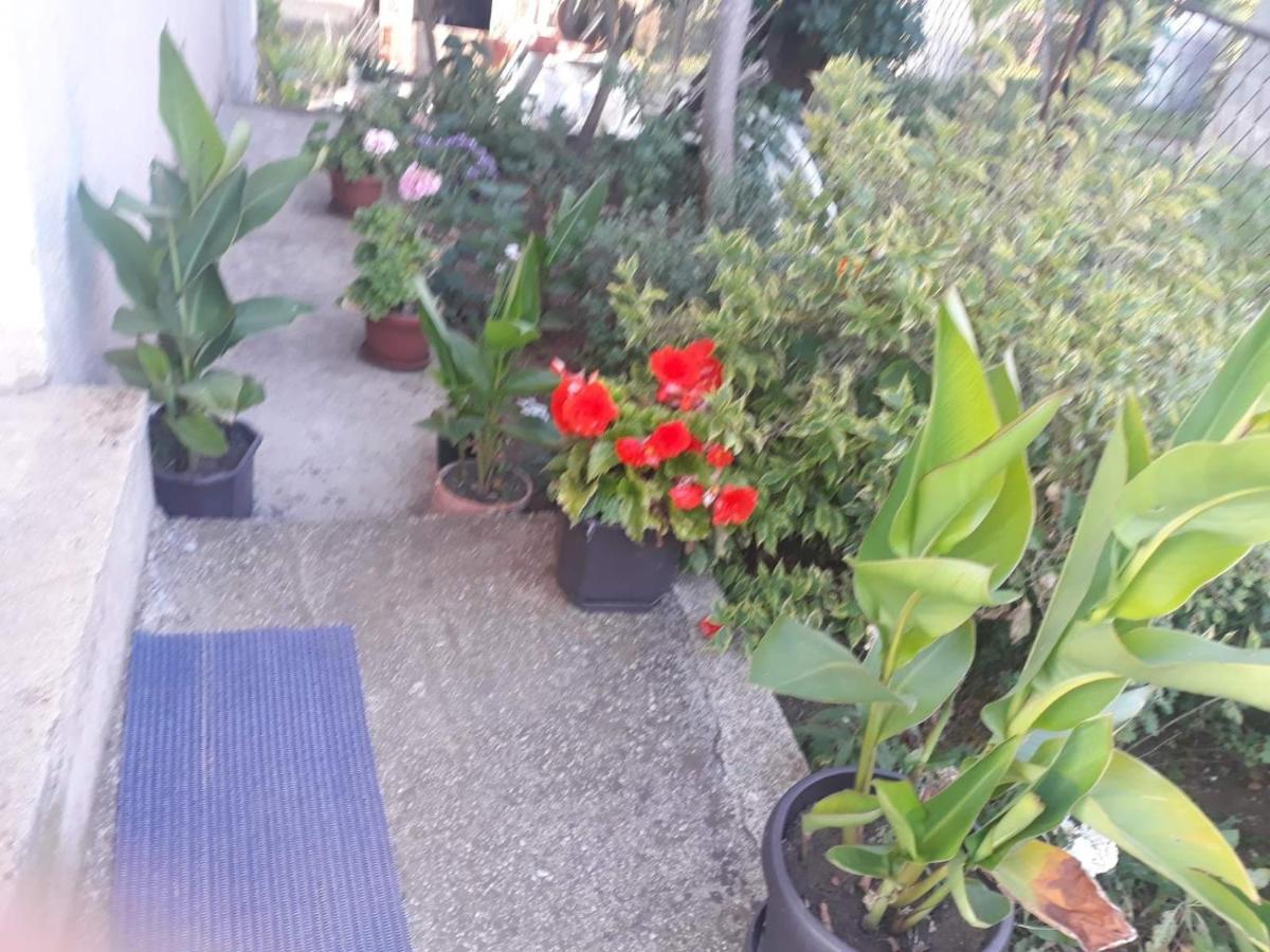 Smestaj Rakovic Apartment