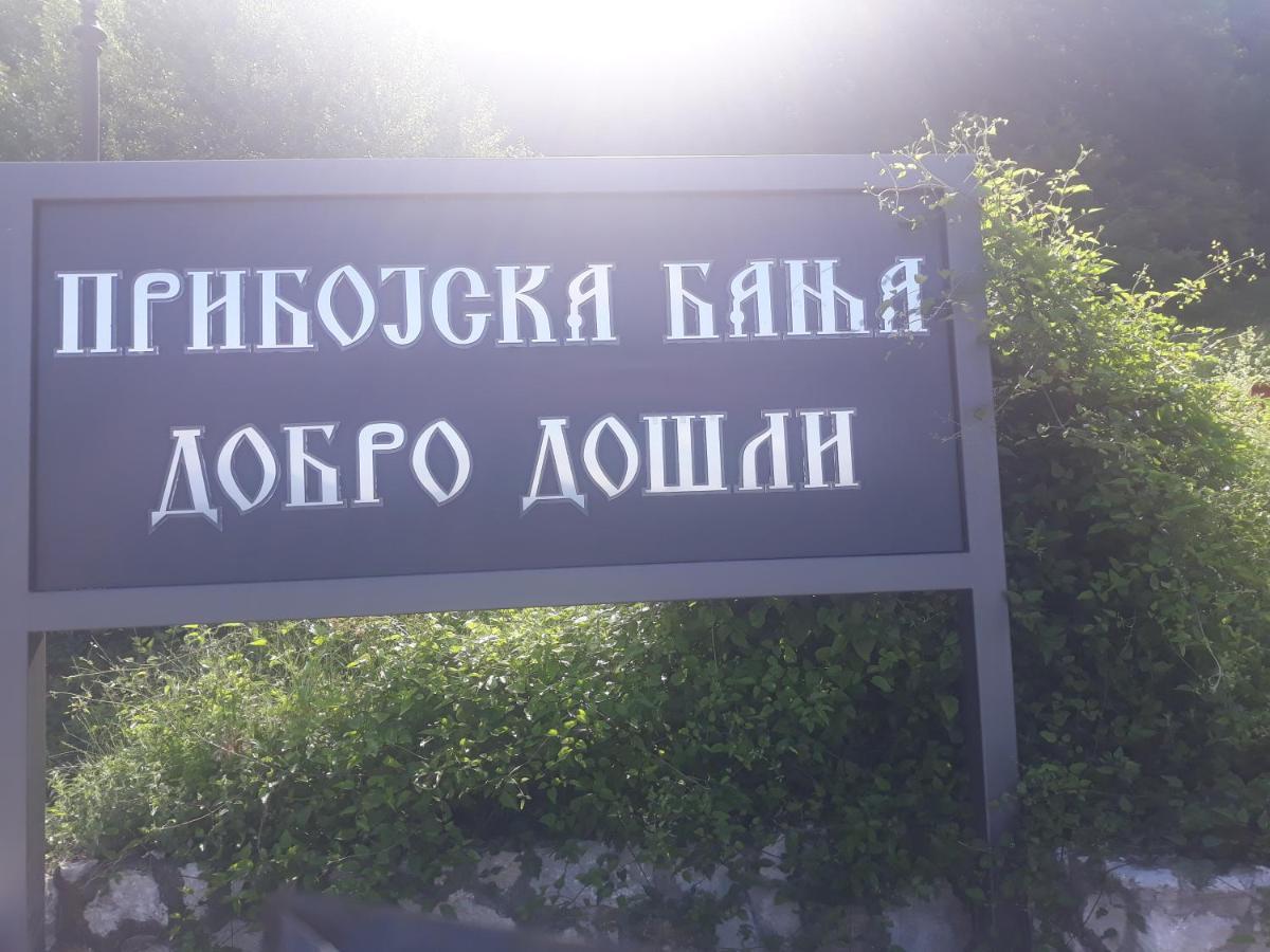 Apartment Smestaj Rakovic Pribojska Banja