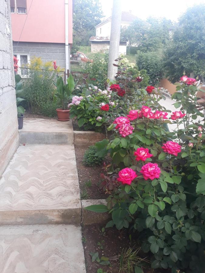 Smestaj Rakovic *