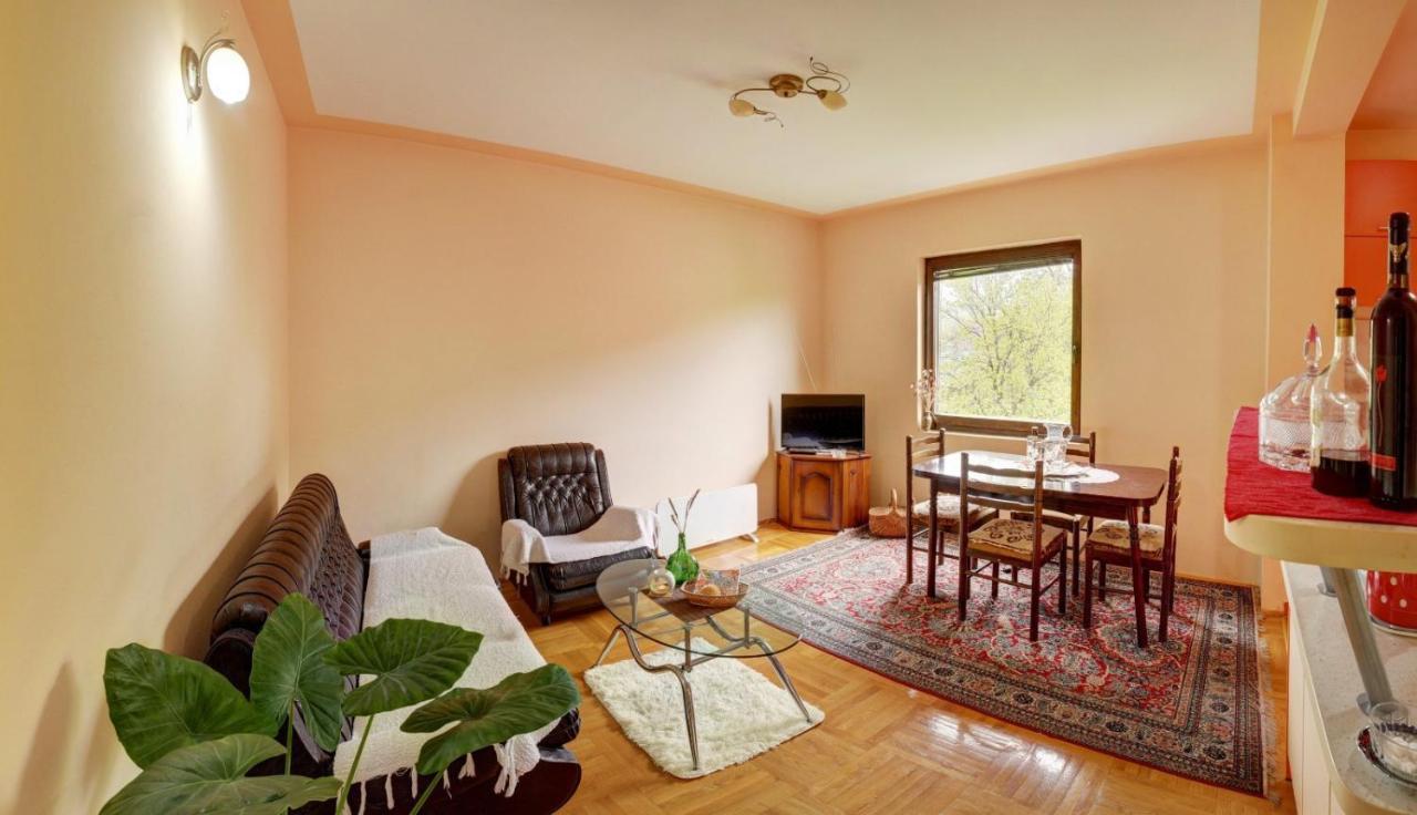 Smestaj Rakovic Apartment Pribojska Banja