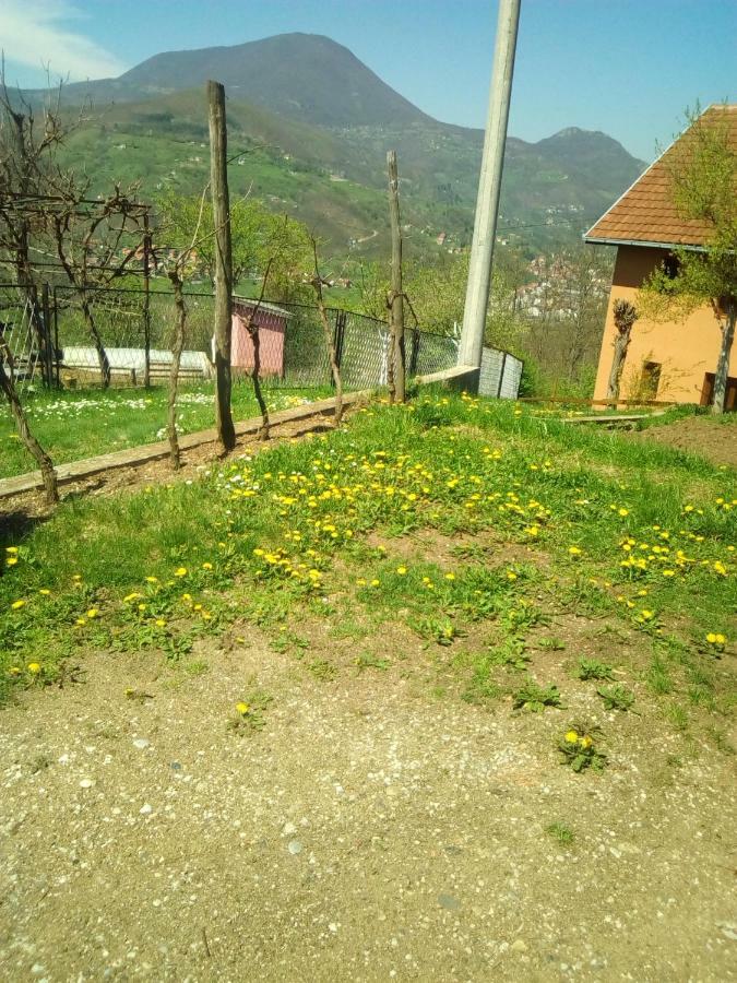 Smestaj Rakovic * Pribojska Banja